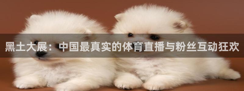 so米直播体育在线观看：黑土大展：中国最真实的体育直播与粉丝互动狂欢