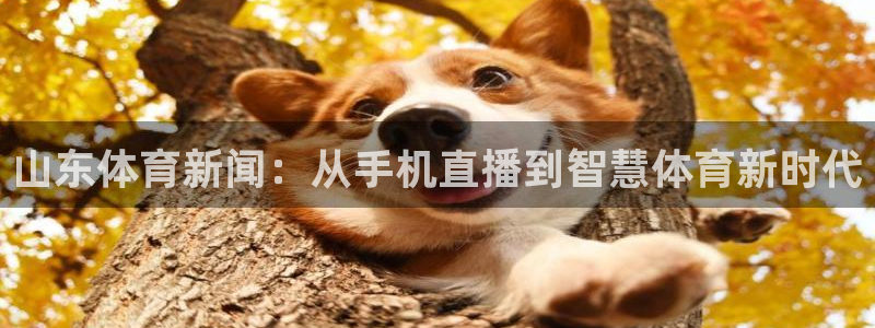 so米足球直播体育：山东体育新闻：从手机直播到智慧体育新时代