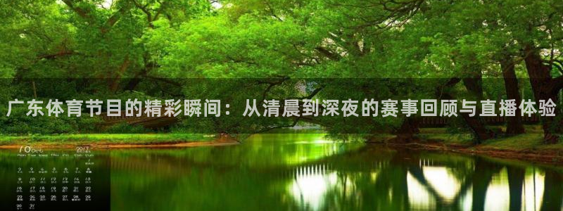 so米体育：广东体育节目的精彩瞬间：从清晨到深夜的赛事回顾与直播体验