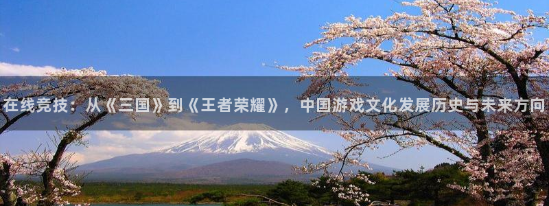 so米直播体育在线：在线竞技：从《三国》到《王者荣耀》，中国游戏文化发展历史与未来方向