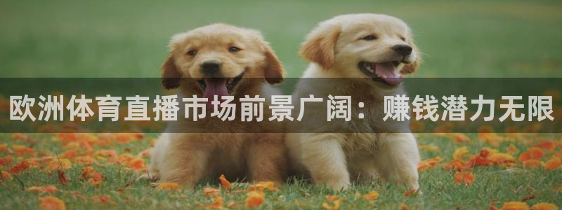 搜米so米体育直播：欧洲体育直播市场前景广阔：赚钱潜力无限