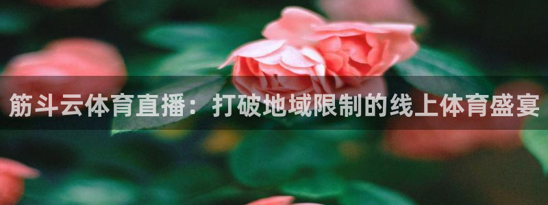 so米足球直播吧：筋斗云体育直播：打破地域限制的线上体育盛宴
