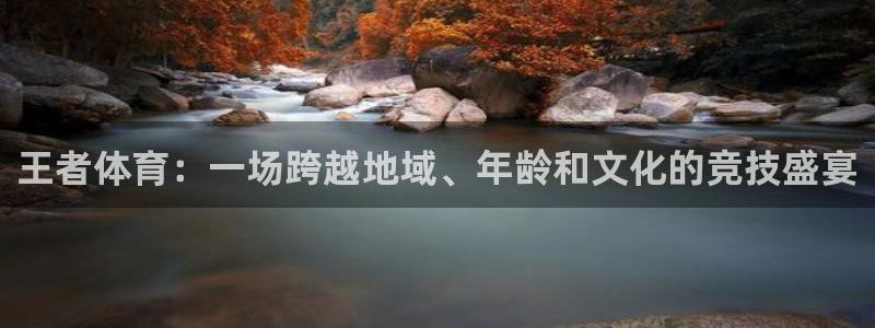 so米直播体育平台直播：王者体育：一场跨越地域、年龄和文化的竞技盛宴